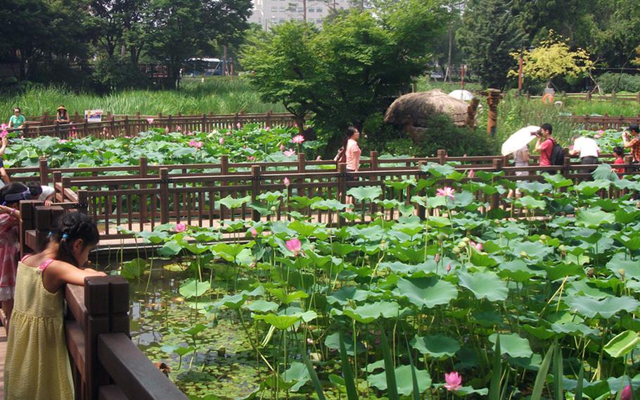 Natalya Jimenez, left, looks at beds of flowers that bloom during the spring to produce abundant color.