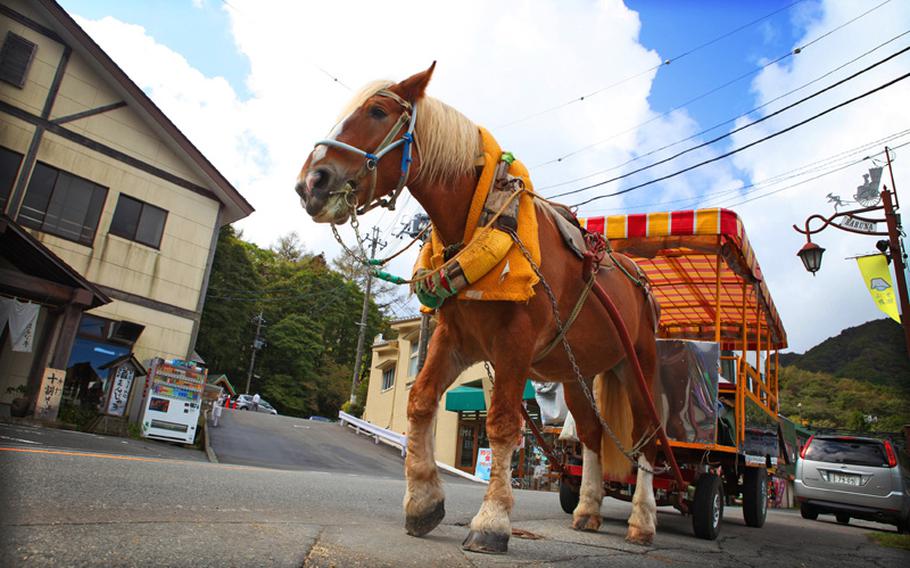 A horse-drawn carriage ride is among the various ways to enjoy the views around Lake Haruna.