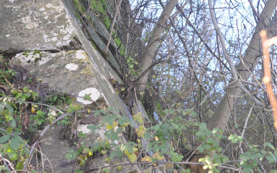 Much of the fortifications surrounding the town of Palmanova is being reclaimed by nature as evidenced in this picture that shows trees growing out of the walls. Palmanova was fortified by the Venetians, later occupied by Napoleon and part of the front during World War I.