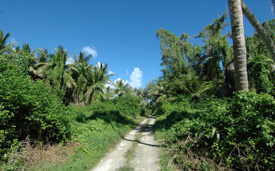 A hiking path on Cocos Island.