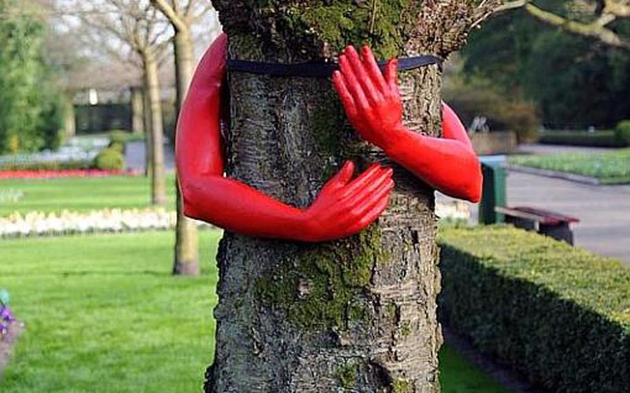 Keukenhof is also know for art spread through its gardens. This sculpture shows just what the term "tree hugger" means.