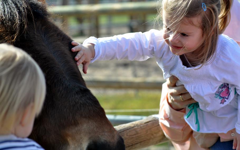 Visitors pet a Shetland pony in the demonstration farm of the zoo and garden. The farm also features such animals as wild boars, dwarf goats and many breeds of chickens.