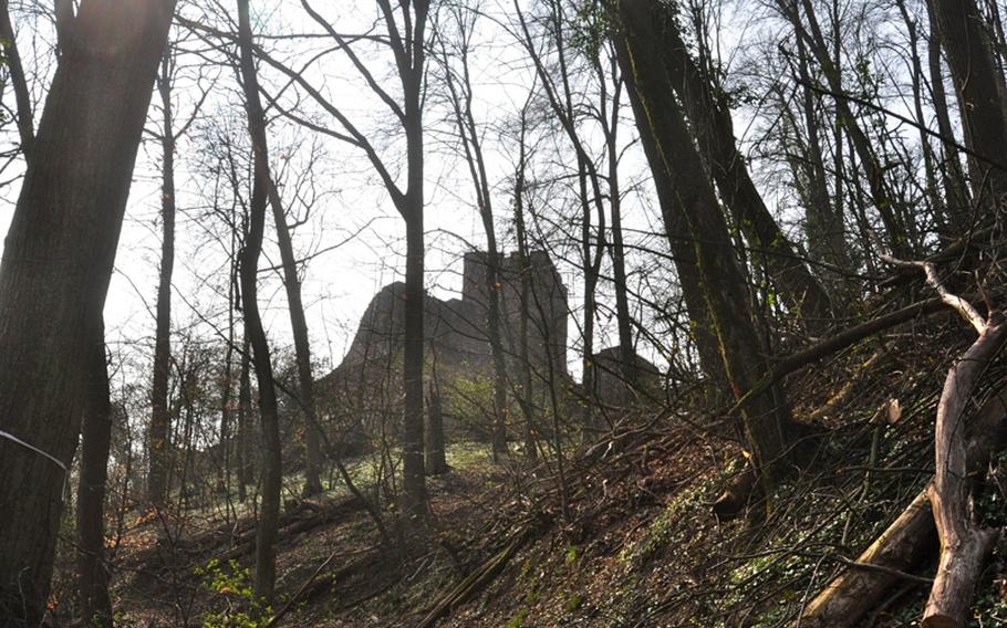 Just outside the castle ruins, which sit on the eastern edge of the Palatinate Forest in Germany. The forest has several hiking trails, ranging from three to six kilometers, all of which lead to the ruins.