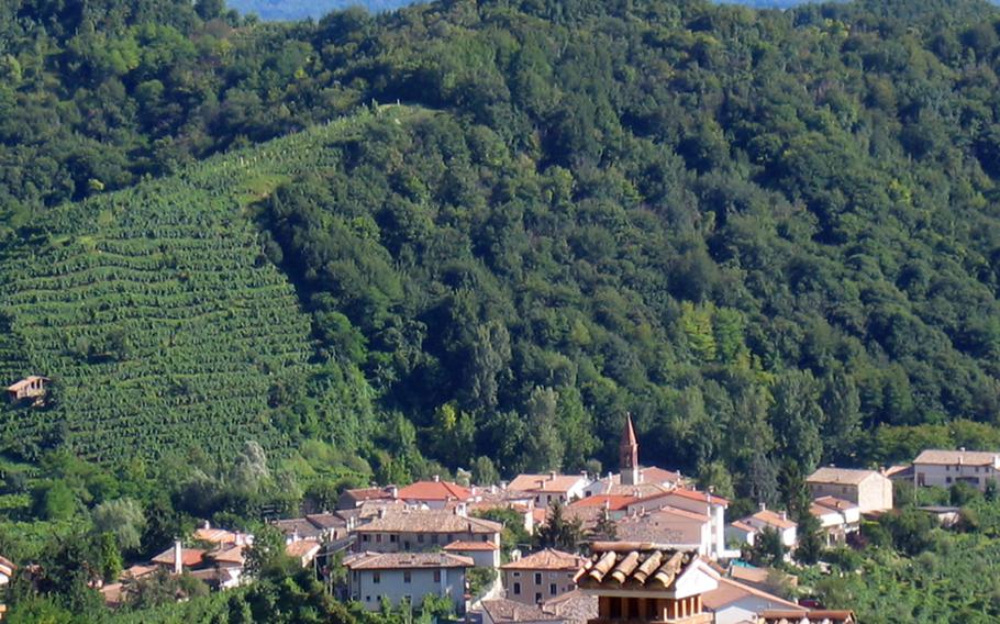 The lush green hills near Valdobbiadene in northeast Italy, where producers make the refreshing wine called Prosecco.