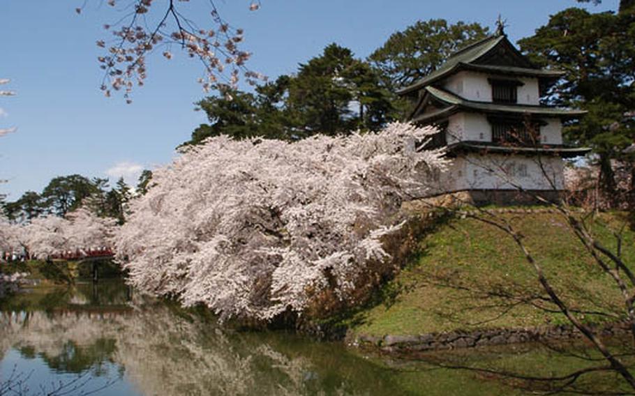 Although many cherry blossom festivals in Japan were canceled after the massive earthquake, officials in Hirosaki City, Japan, decided to have cherry blossom festival this year. They will contribute donations festival entrance fees to charity. See about 2,500 trees around the castle and moat from April 23 through May 5. The blooms will be illuminated sunset to 11 p.m.