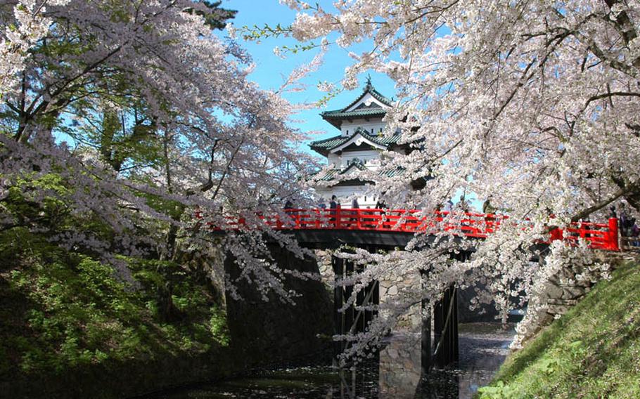 Although many cherry blossom festivals in Japan were canceled after the massive earthquake, officials in Hirosaki City, Japan, decided to have cherry blossom festival this year. They will contribute donations festival entrance fees to charity. See about 2,500 trees around the castle and moat from April 23 through May 5. The blooms will be illuminated sunset to 11 p.m.