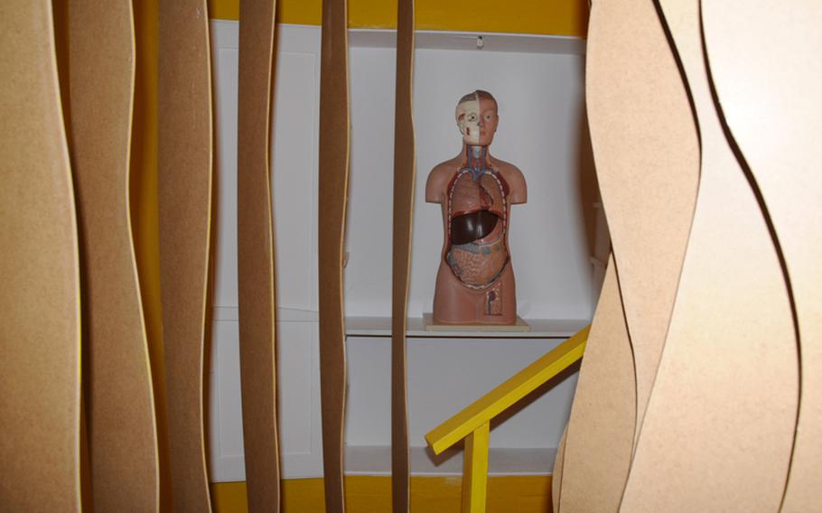 Visitors are guided into the museum through a curved tunnel representing intestines and are greeted by an antique anatomic torso.