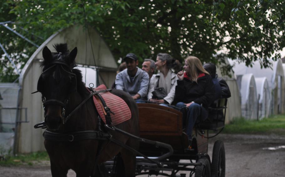 Customers of the Gelindo dei Magredi Ristorante who want to see where some of the food they'll be eating is produced can take a short carriage around parts of the family farm, which supplies produce for the restaurant.