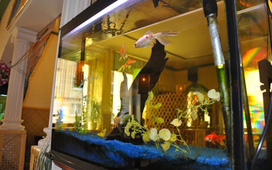 One of several fish tanks accompanies the hospitable atmosphere at Anh Tuan Vietnamese restaurant in Schweinfurt, Germany.
