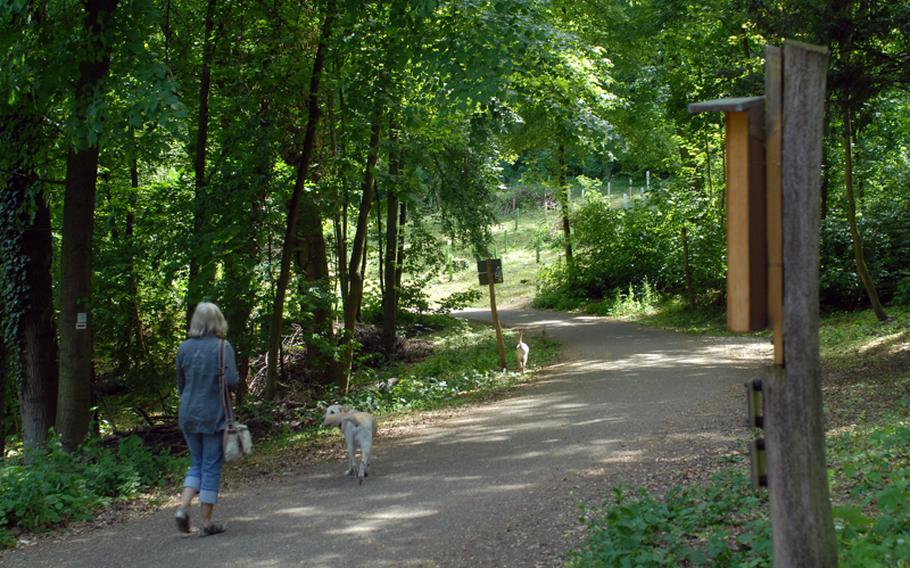 The three paths through the Exotenwald in Weihneim, Germany -- 1?? miles,  two miles and  2?? miles -- can be  enjoyed on two legs and four.