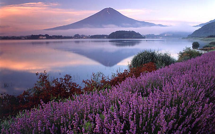 Experience nature in lavender fields along the Lake Kawaguchi silhouetted in the foot of Mount Fuji at the Lake Kawaguchi Herb Festival through July 10. 