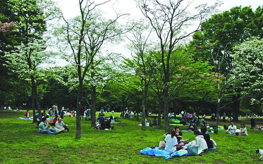 Visitors to Yoyogi Park in Tokyo relax on the park grounds.