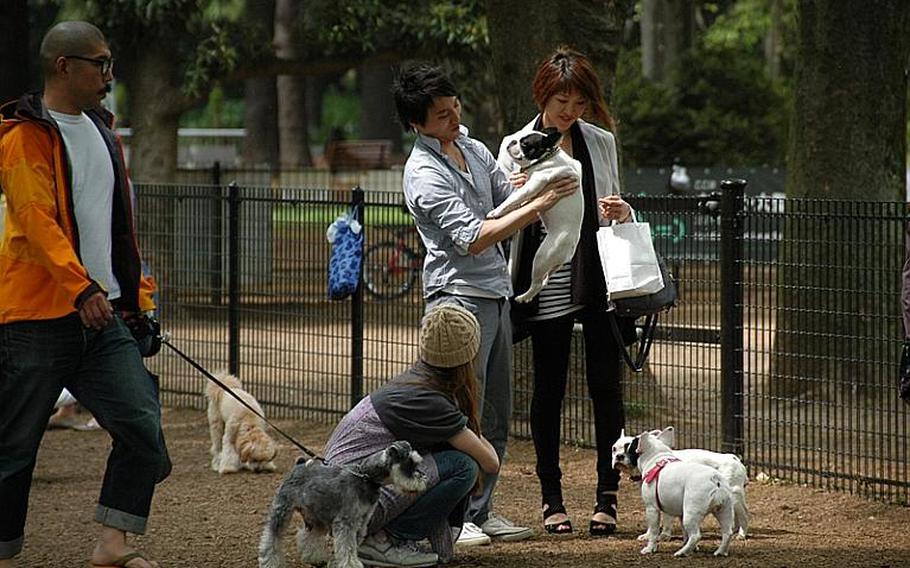 Dog-owners spend some quality time with their pets in the fenced-off dog park at Yoyogi Park in Tokyo.