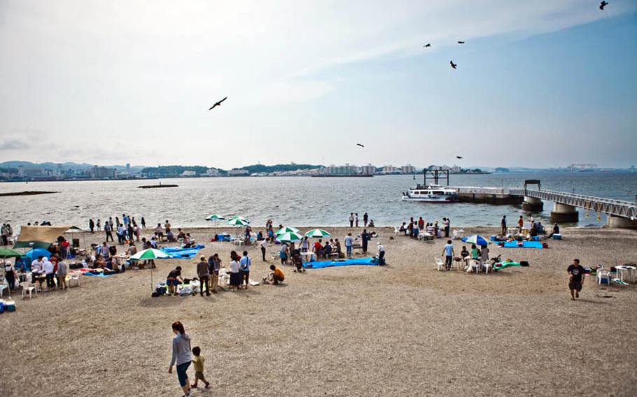 Hawks circle over people barbecuing on the beach at Sarushima - or Monkey Island - hoping to steal food right from the plates.
Grant