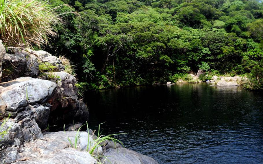 The large swimming hole at Aha Falls, Okinawa, offers clear and cool dark waters surrounded by lush tropical rainforest.
