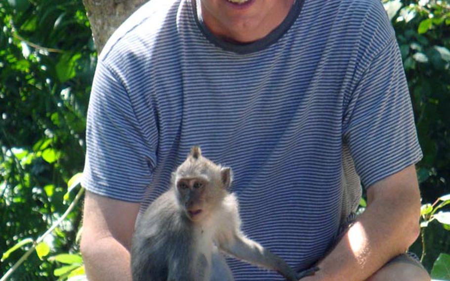 A monkey rests on the arms of Stars and Stripes reporter Jon Rabiroff during his July visit to the Monkey Forest in Ubud, a town on the Indonesian island of Bali. The brief interaction went well, but Rabiroff was not as lucky during a later encounter with another monkey.