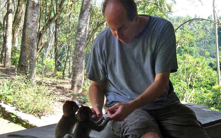 Two young monkeys grab the fingers of Stars and Stripes reporter Jon Rabiroff during his July visit to the Monkey Forest in Ubud, a town on the Indonesian island of Bali. Seconds after this photo was taken, an adult monkey - presumably upset about the interaction - bolted at and bit the Rabiroff&#39;s arm, drawing blood.