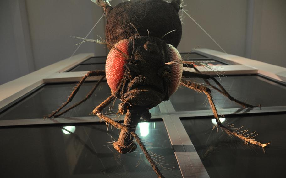 A giant fly looks down on visitors at the biotechnical exhibit at the Technoseum in Mannheim, Germany. The Technoseum is a popular destination for German schools to take their students on class trips.