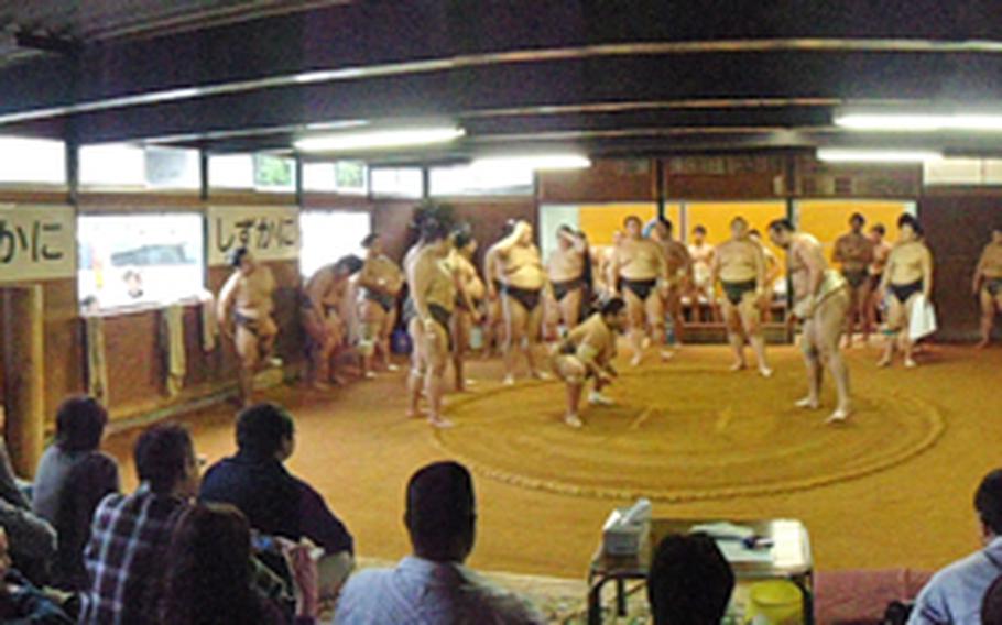 Throngs of onlookers watch sumo superstars spar at the Sadogatake sumo wrestler stable in Fukuoka, about two hours by bus from Sasebo Naval Base.