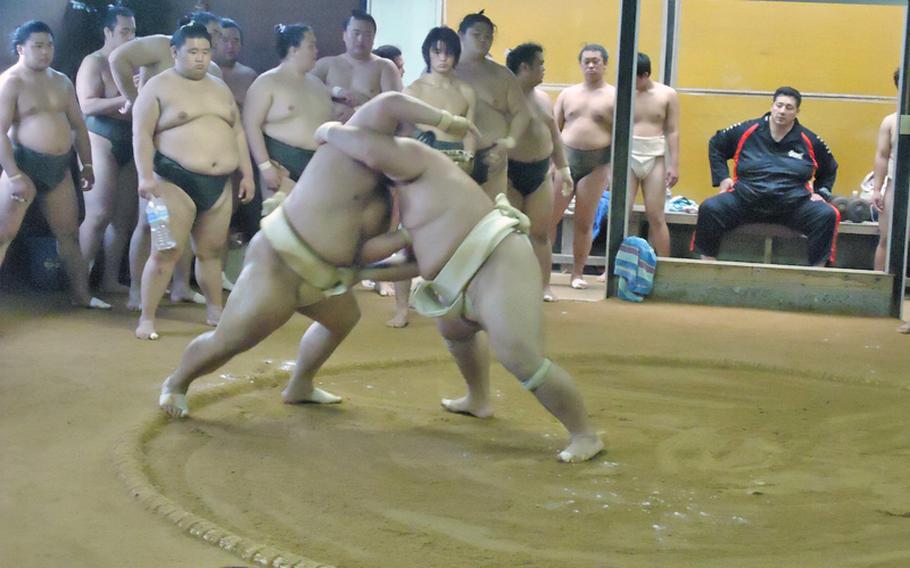 Ozeki Kotoshogiku, right, gains the upper hand in a training match with an opponent at the Sadogatake sumo wrestler stable in Fukuoka recently.
