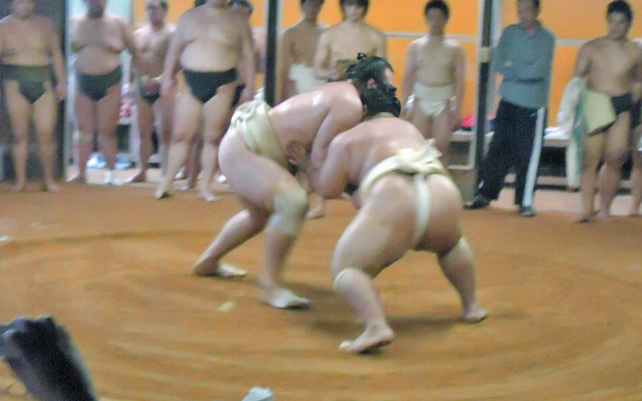 The two famed ozeki Kotooshu, left, and Kotoshogiku from the Sadogatake sumo wrestler stable in Fukuoka square off during a recent training session. Here, Kotooshu meets Kotoshogiku with a solid and thundering shoulder.