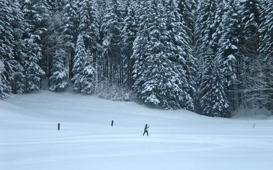 Nina Peacock skies past snow-covered pines on classic cross country ski tracks in Gonten.