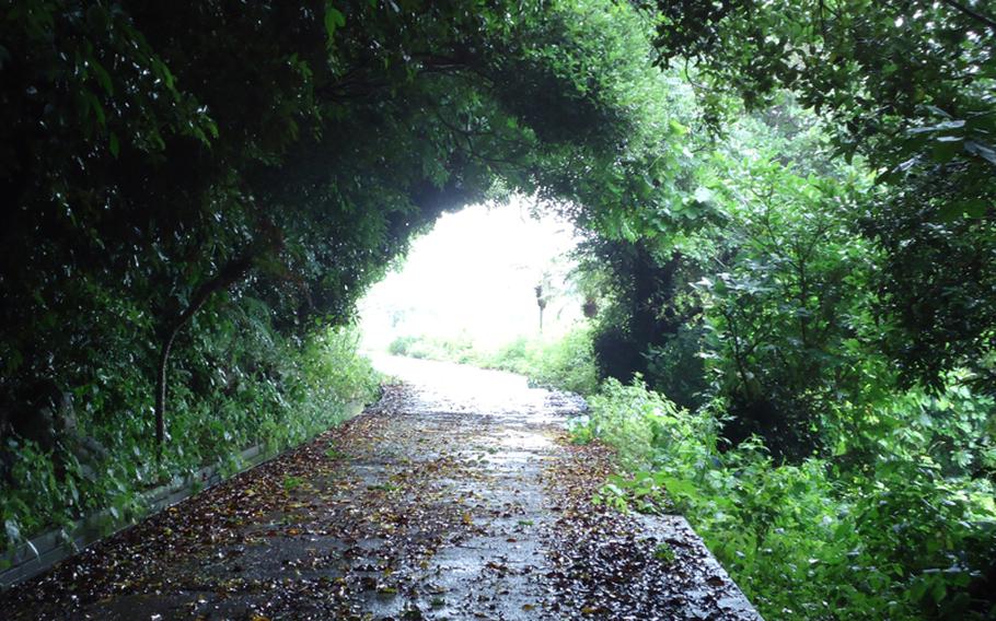 The roadways on Ioujima are barely big enough for a single car, and despite being well maintained, they are overgrown and appear rarely used.