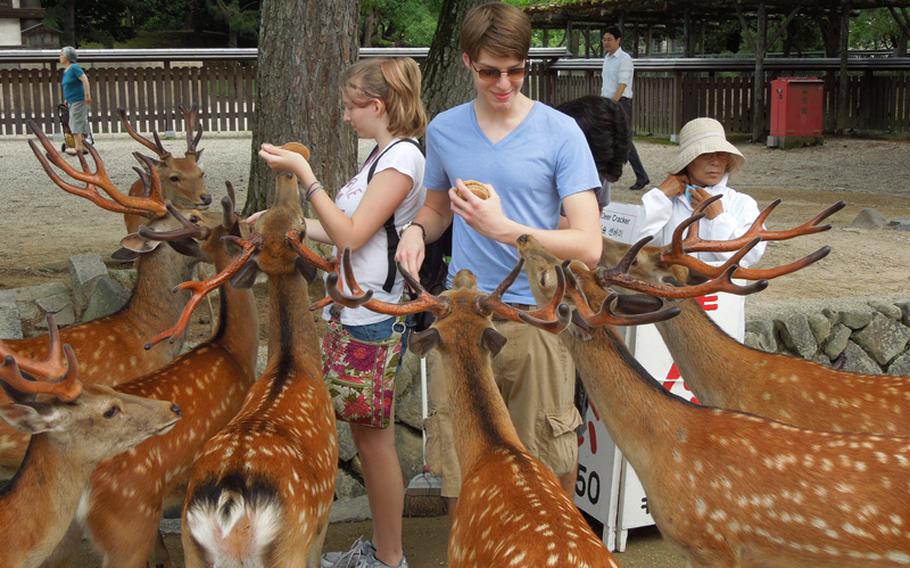 Tourists feed deer in Nara, Japan, which is known for its temples and the semi-tame deer that roam freely inside the massive Nara Koen, or park, and eat biscuits sold to visitors at kiosks throughout the park.