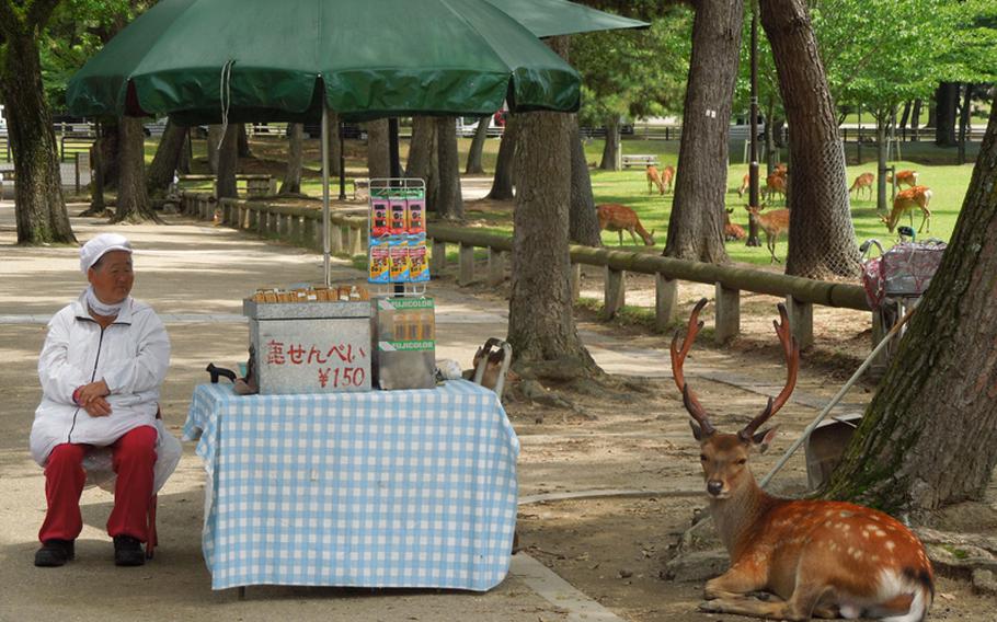 A vendor sells deer snacks for 150 yen, or about $1.89, and disposable cameras at a kiosk in Nara Koen, a 20-minute walk from Nara's train station.