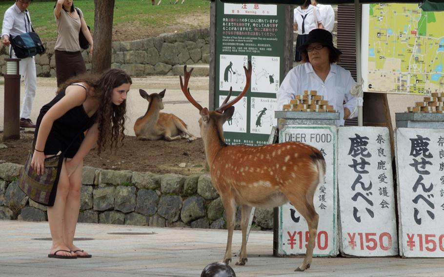 A deer and a tourist inspect each other in Nara Koen, which is famous for the deer that roam throughout the park and are fed by tourists. The deer are regarded as sacred messengers of the gods.
