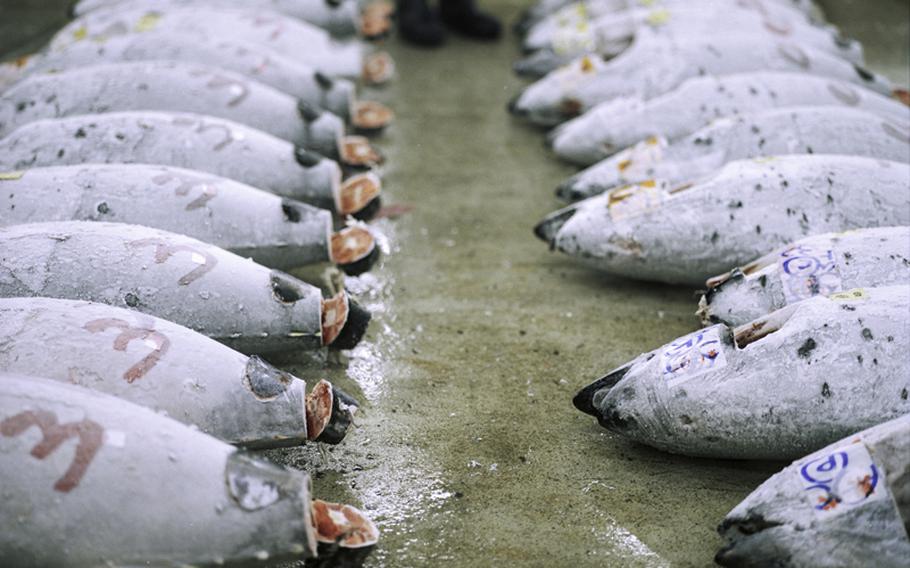 The world-famous tuna auctions at Tsukiji Fish Market in Tokyo are a top destination for both tourists and restauranteurs.