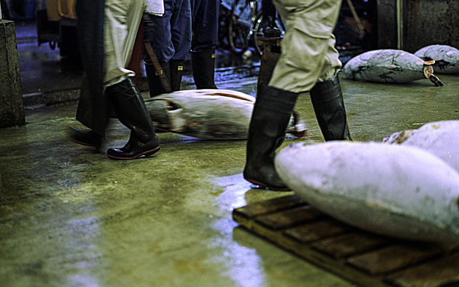 A bluefin tuna is hauled away from the auction. The massive fish can fetch hundreds of thousands of dollars in the early-morning bidding.