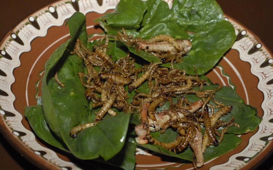 Customers can order a small or large mixed insect platter at Manitou in Frankfurt, Germany. The dish comes with cooked locusts, mealworms and caterpillars.