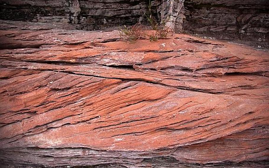 A red sandstone outcrop in the forest outside Dahn, Germany, shows laminated sediments likely laid down in the bed of an ancient stream.