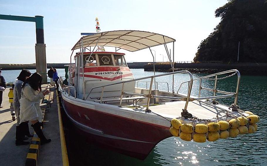Passengers embark on one of Kazusa Iruka Watching's four boats to head out to see the approximately 300 dolphins that call the sea between Nagasaki and Kumamoto prefectures home. The boats feature comfortable vantage points from the bow and stern and also from the interior.