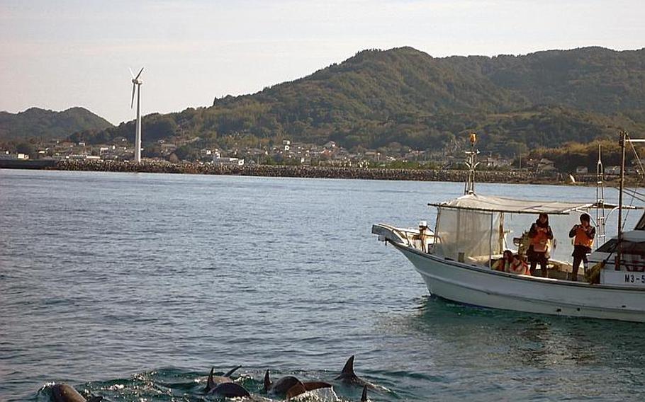 Kazusa Dolphin Watching is fun for the whole family. Just three hours from Sasebo Naval Base, you can see dolphins up close in their natural habitat in Japan.