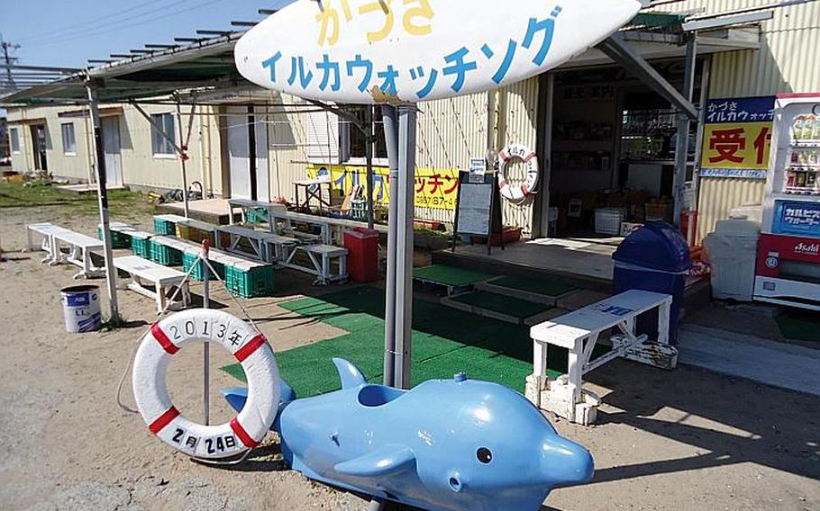 Nestled in a protected cove by the sea, in the shadow of Mt. Unzen, Kazusa Iruka (Dolphin) Watching operates four boats seven days a week to ferry dolphin enthusiasts out to see about 300 bottlenose dolphins that call the sea between Nagasaki and Kumamoto prefectures home. Kazusa Iruka Watching is located in Minamishimabara, about three hours by car from Sasebo Naval Base.