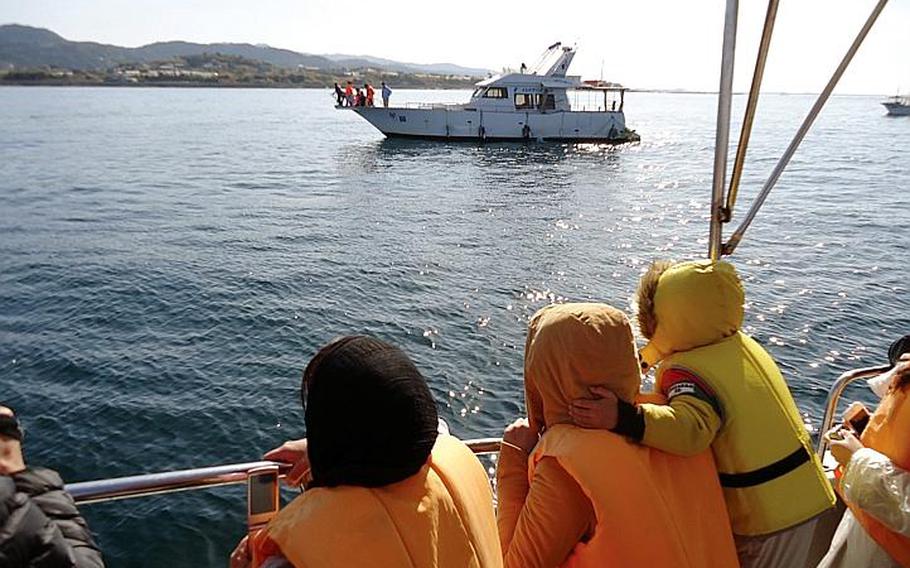 Boats from Nagasaki and Kumamoto prefectures converge on the spot that is home to about 300 bottlenose dolphins. The dolphins are so used to the boats and their diesel engines, they often swim alongside and underneath them as if posing for photographs.