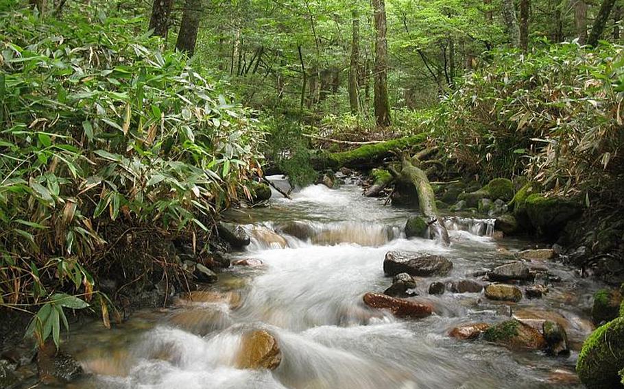 The waterfalls flowing near the Azusa River in Kamikochi, Japan, are the refreshing change of scenery for city dwellers.