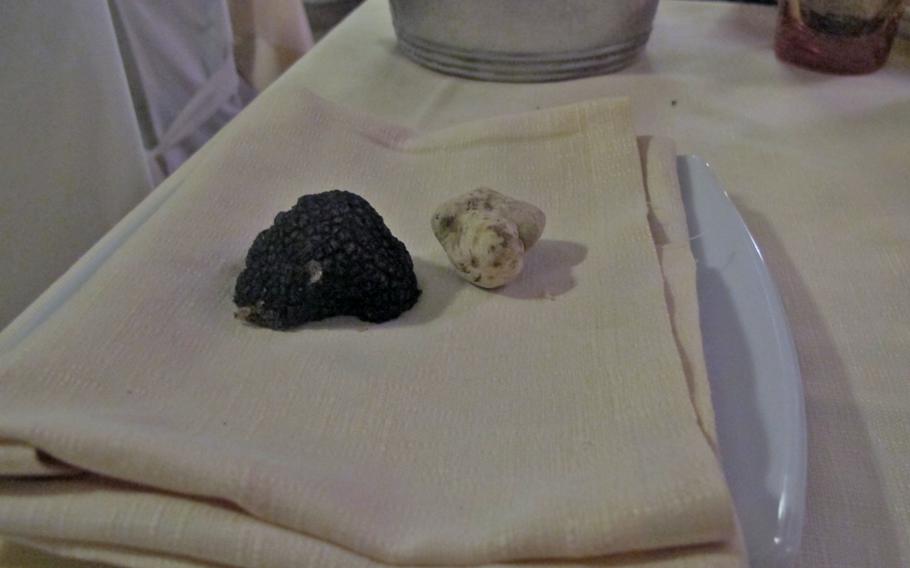 Behold, the black truffle and the astronomically expensive white truffle, unprepossessing though they look.