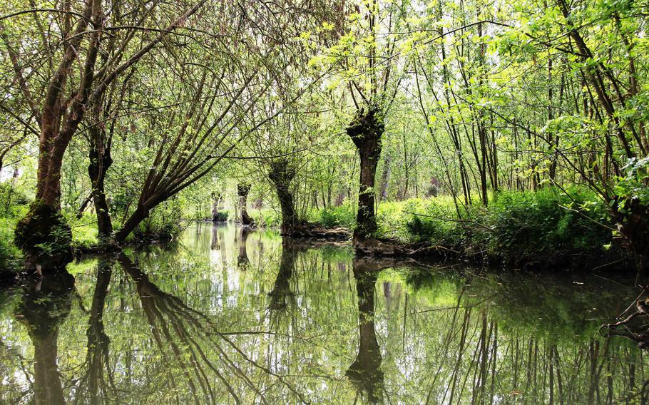 Thousands of canals cross the Marais Poitevin marshlands in France's  Poitou-Charentes region. They can be explored by a tour on a flat-bottomed boat.  

Leah Larkin/Special to Stars and Stripes