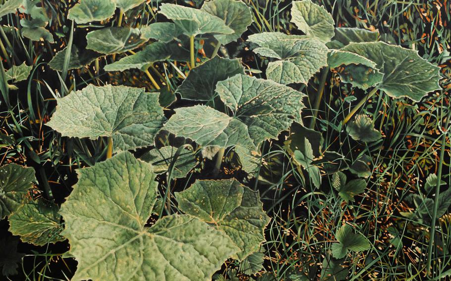 Franz Gertsch's "Pestwurz" (Butterbur) achieves a photographic effect by depicting the leaf in the foreground out of focus. A selection of Gertsch's paintings is on display at the Saarlandmuseum's Moderne Galerie through Feb. 4, 2016.