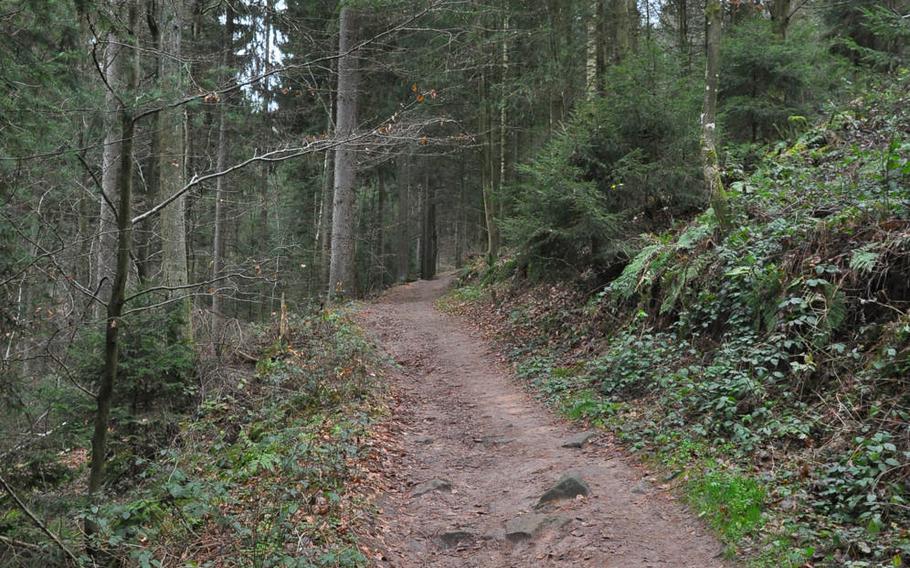 The hike to Humbergturm, south of Kaiserslautern, Germany, is a steady climb through the Palatinate Forest.