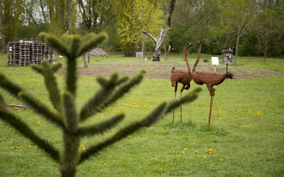 The walking trail at Ostrich Farm Mhou in Ruelzheim, Germany, has more than 50 species of trees and shrubs from several different countries.