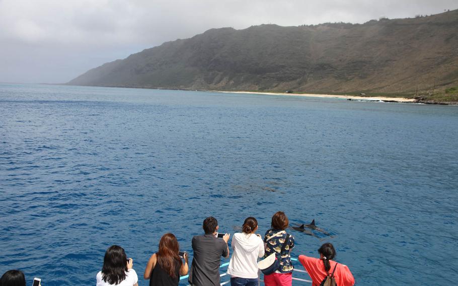 Guests gather on the lower bow of the Dolphin Star to get an up-close look at a pair of dolphins rising to the surface during a cruise along the northwest shore of Oahu, Hawaii, May 3, 2016.