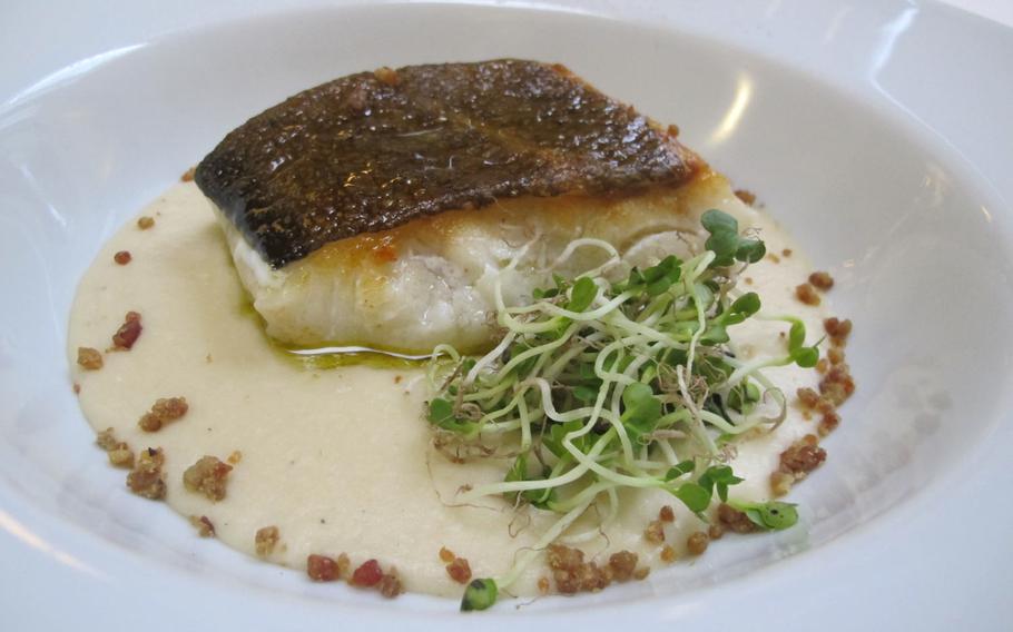 Cod filet with a cream sauce and bacon bits was filling but a little bland at Malvasia restaurant in Vicenza, Italy.