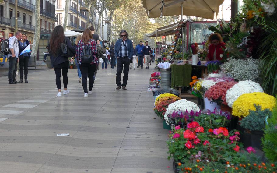 Las Ramblas is divided into many parts. On the Placa de Catalunya end it is still rather narrow, but widens out by the time it gets to the Mirador de Colom plaza. There is a flower shop section, an artists' section where you can get your portrait drawn, a section that has outdoor restaurants and a section where human statues fascinate pedestrians.