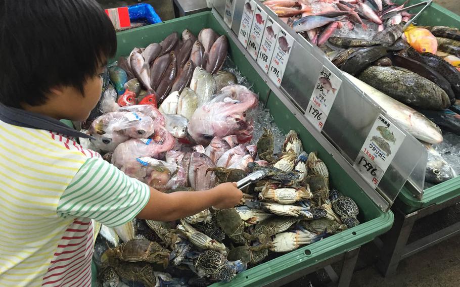A boy picks fresh blue crab from the colorful bin at Awase's fish market in Okinawa, Japan. The building also houses Payao, a restaurant known for its fresh fish, fast service and affordable prices.