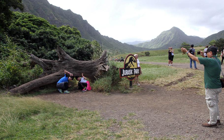 A tour guide holds up a toy dinosaur as a camera prop while visitors pose in mock terror beside the fallen tree trunk in Hawaii used in "Jurassic Park."