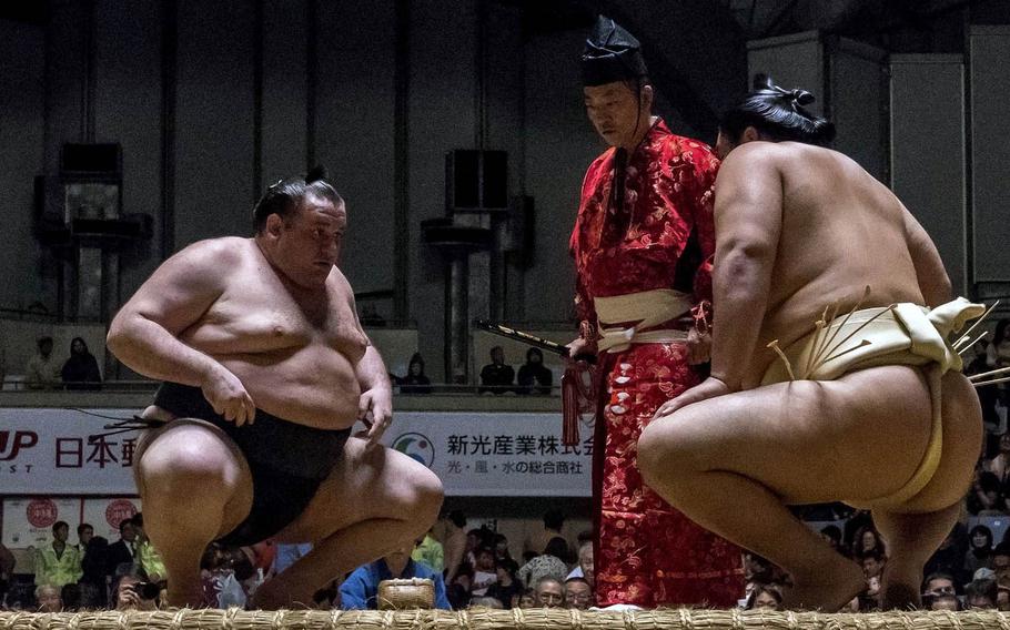 Sumo opponents face each other, crouch and stare in a mental battle before the physical contest.